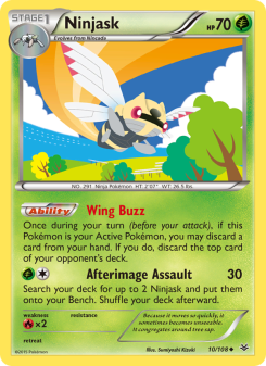 Ninjask ROS 10