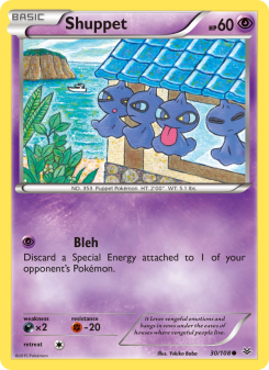 Shuppet ROS 30