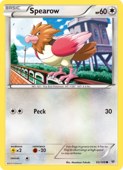 Spearow ROS 65