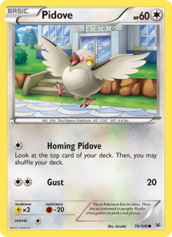 Pidove ROS 78