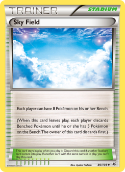 Sky Field ROS 89