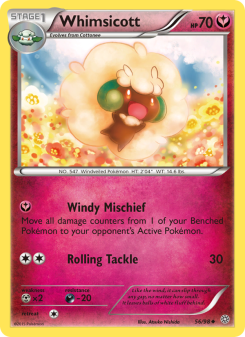 Whimsicott AOR 56
