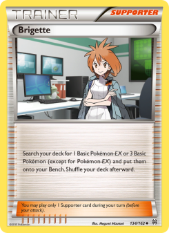 Brigette BKT 134
