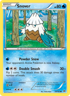 Snover BKT 39