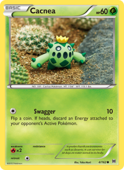 Cacnea BKT 4