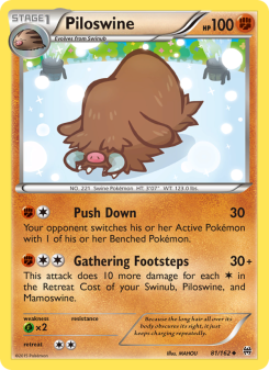 Piloswine BKT 81