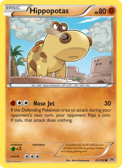 Hippopotas BKT 83