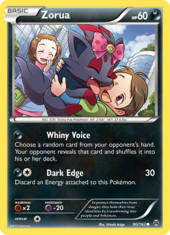Zorua BKT 90
