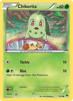 Chikorita BKP 1
