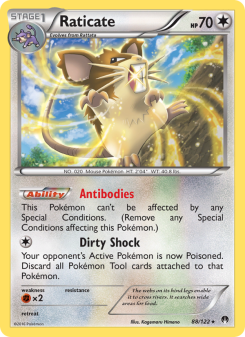 Raticate BKP 88