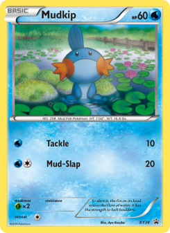Mudkip XYP XY38